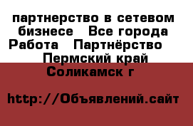 партнерство в сетевом бизнесе - Все города Работа » Партнёрство   . Пермский край,Соликамск г.